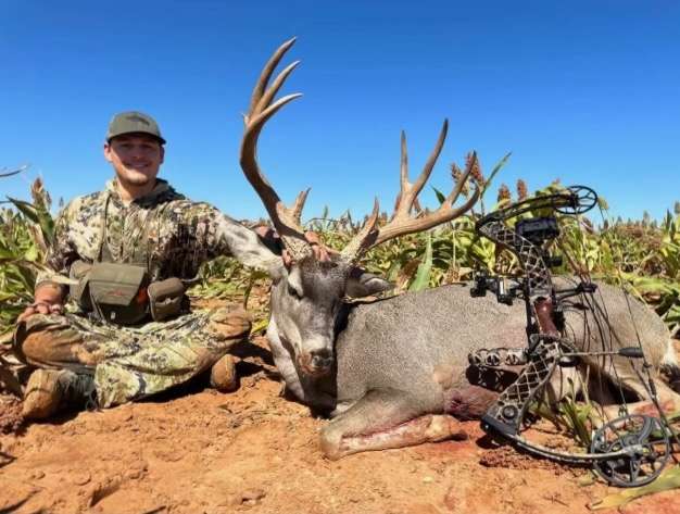 Mule Deer Hunting Packages